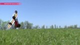 Зачем вейкбордисту конь, река и горный ландшафт