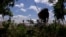Ukraine Tests AI-Powered Drones As Debate Grows Over Autonomous Weapons GRAB 3