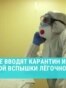 В Иркутске – вероятная вспышка чумы