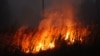 Лесной пожар в Карелии в 2021 году