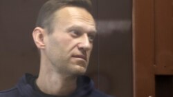 Главное: суд над Навальным