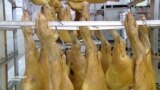Трудности "импортозамещения" хамона