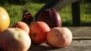 Россия запретила ввоз томатов и яблок из Азербайджана и томатов и перцев из Узбекистана
