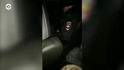 Новости. Коротко