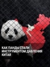Китай забирает у Японии двух панд – как наказание за ухудшение отношений. Как Пекин использует "панда-дипломатию"?