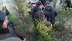 Новости. Коротко