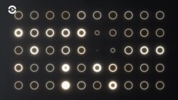 Луговой и Потупчик – о будущем Рунета. Вечер с Тимуром Олевским