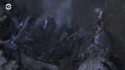 Новости. Коротко