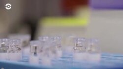 Новости. Коротко