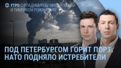 Утро: атака дронов на порт Усть-Луга, взрывы под Москвой