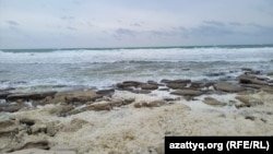 Вид на Каспийское море с набережной Актау. 15 апреля 2026 года
