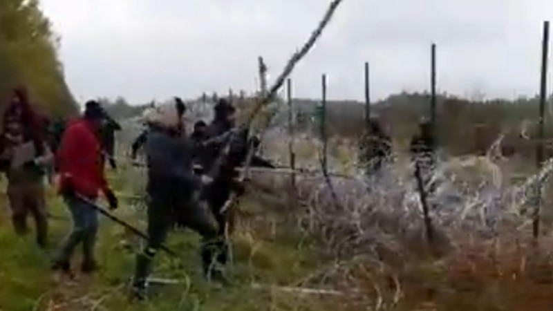 Video spreads in social networks - migrants storm barriers on the Belarusian-Polish border - Perild