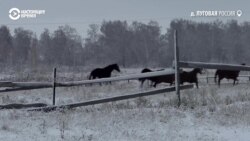 Жители деревни под Омском жалуются на давление силовиков после того, как выступили против строительства кладбища