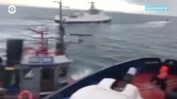 Новости. Коротко