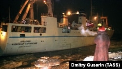 Научное судно "Академик Карпинский", аналогичное атакованному в порту Луба