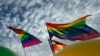 ЛГБТ-активистам в Приморье запретили проводить пикет в день борьбы с гомофобией