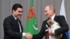 В Туркменистане ввели пайки для владельцев алабаев. Президент Бердымухамедов посвящает этой породе книги, памятники и праздники