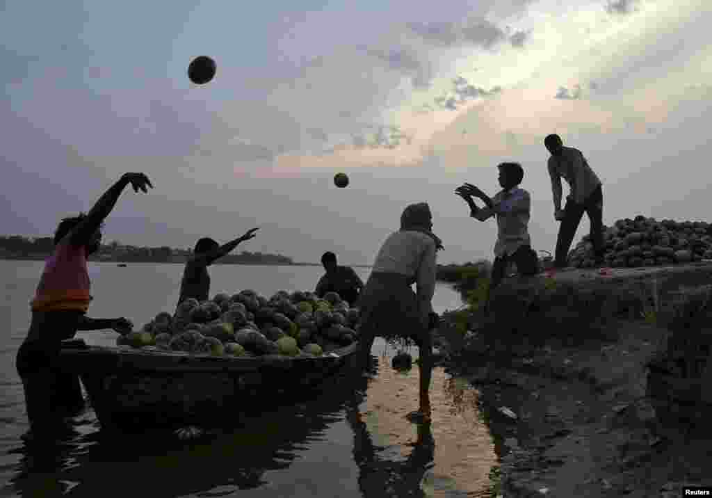 Фермеры разгружают лодку с урожаем тыквы на реке Ганг неподалеку от индийского города Аллахабад в Индии