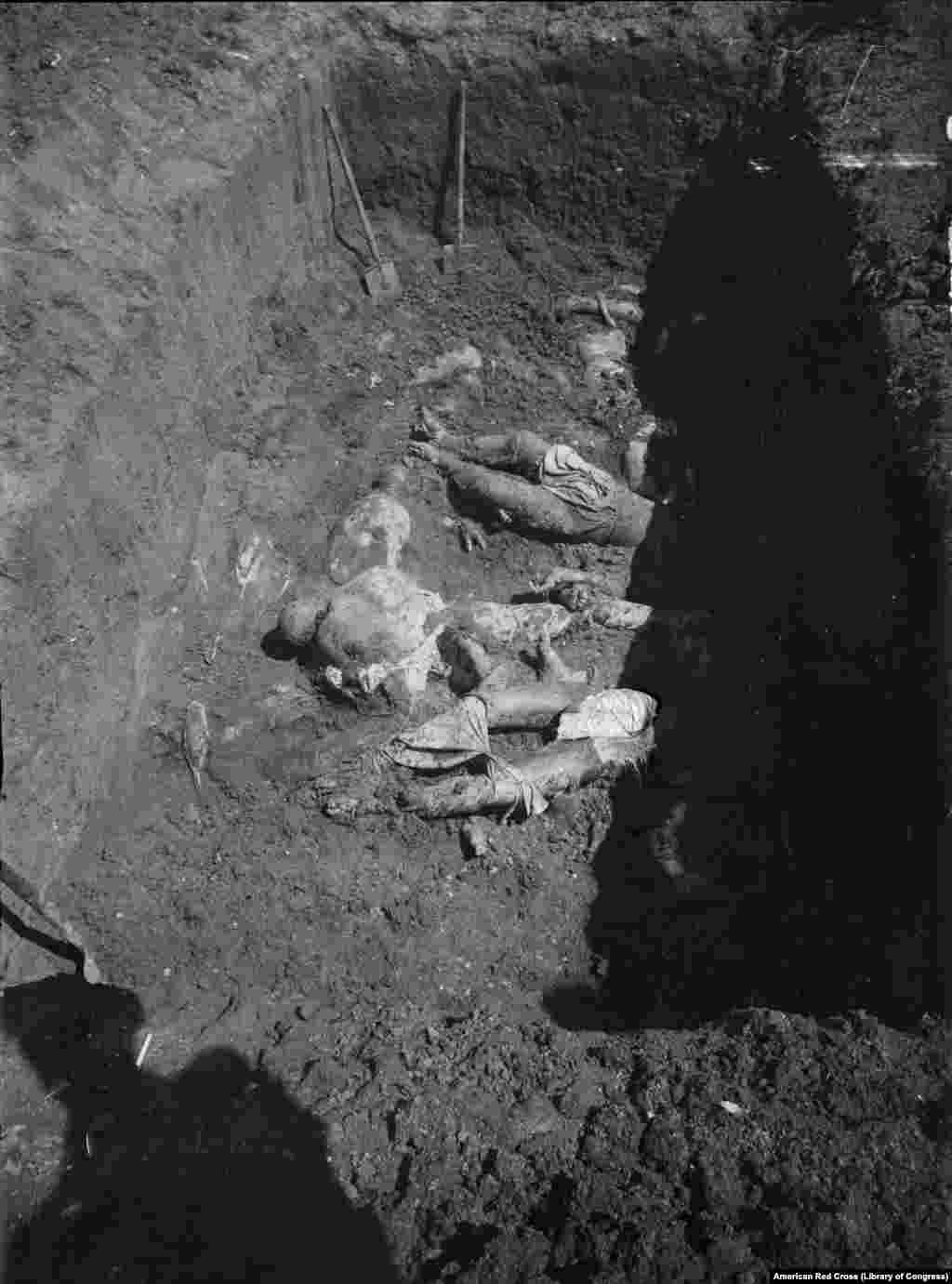 Тела, обнаруженные в 1919 году в Харькове после того, как Белая армия освободила город от большевиков