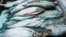 Kyrgyzstan - Osh bazaar, Osh market, bazar, fish, generic, undated