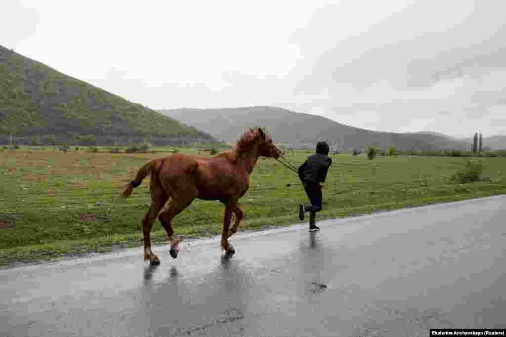 Мальчик с лошадью в Дуиси