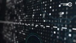 Кто подставил журналистов в ЦАР и выжившие вспоминают бои под Иловайском. Час Тимура Олевского