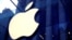 FILE PHOTO: The Apple Inc logo hanging at the entrance to the Apple store on 5th Avenue in New York