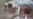 16x9 Image