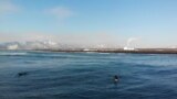 Человек на карте: история первой и единственной зимней школы серфинга в России