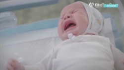Родители не могут забрать полсотни суррогатных младенцев из Киева