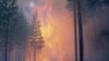 В Красноярском крае и Иркутской области горит более 900 тысяч гектаров леса