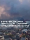 Сильный пожар в окрестностях курортной Анапы: горит заболоченный лес в плавнях