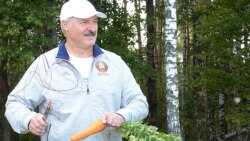 "Золотое дно" Лукашенко от Nexta. Вечер с Ириной Ромалийской