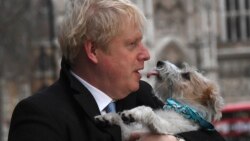 Премьер Великобритании Борис Джонсон со своей собакой