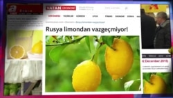 СМОТРИ В ОБА: Что спасло турецкие лимоны