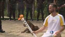 В Бразилии убит ягуар - участник эстафеты олимпийского огня