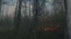 В Ростовской области ввели режим ЧС: за сутки сгорело 450 гектаров леса, погибли два человека
