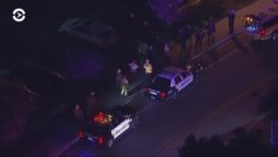 Новости. Коротко