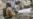 Ukraine -- Russian attack consequences in Dnipro, 18 June 2026