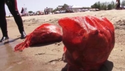 Парламент Кыргызстана хочет запретить пластик на Иссык-Куле
