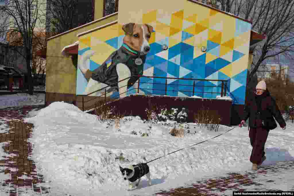 Мурал художников Виталия Гидевана и Елены Нойны, посвященный Патрону – собаке породы джек-рассел, покорившей сердца людей по всему миру благодаря способности обнаруживать взрывчатые вещества. Собака помогает украинским службам экстренной помощи