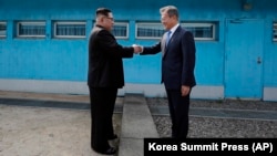 Ким Чен Ын и Мун Чжэ Ин пожали друг другу руки и посадили сосну