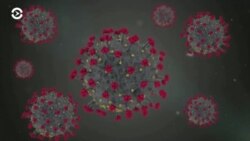  Новости. Коротко