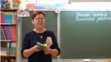 Эдиса Мамырова
