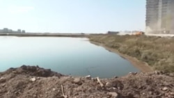 Жители Нур-Султана продолжают бороться за Малый Талдыколь. На месте водоема планируют разбить туристический комплекс