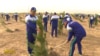 В Туркменистане посадят 25 млн деревьев. Акции пройдут на фоне пандемии, власти по-прежнему отрицают наличие коронавируса в стране