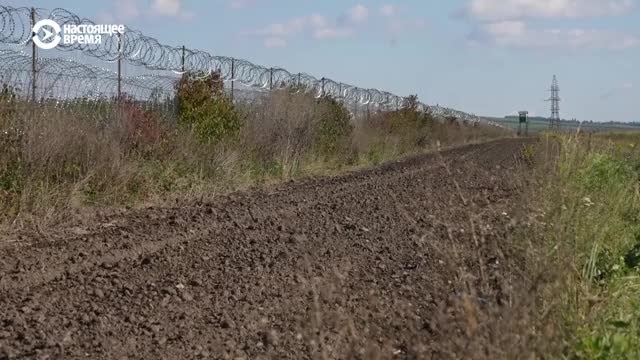 Как в Украине работает схема побега уклонистов из страны Как в Украине работает схема побега уклонистов из страны