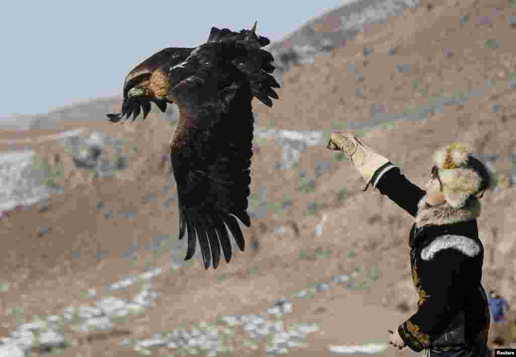 Охоту с ловчими птицами практикуют киргизы, моголы и некоторые другие народы Центральной Азии