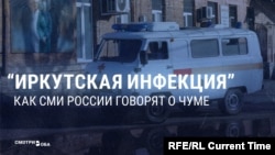 "Отсутствие информации от властей вызывает вопросы". Мир призывает Россию раскрыть информацию о чуме в Сибири, но госСМИ об этом молчат