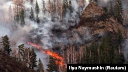 Пожару в лесах у Красноярска